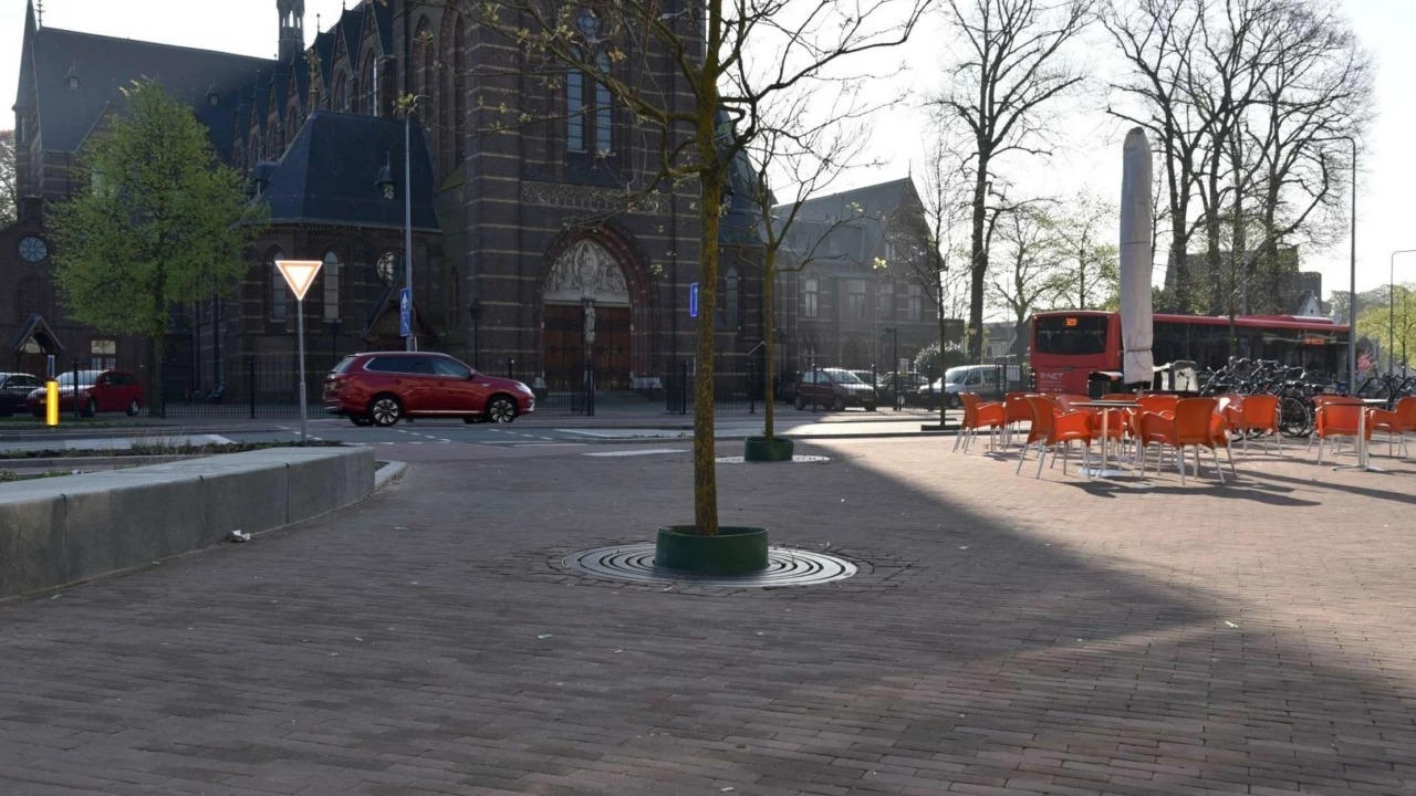 Hilversum - Gooilandplein - Circles Boomrooster voor de openbare ruimte 3