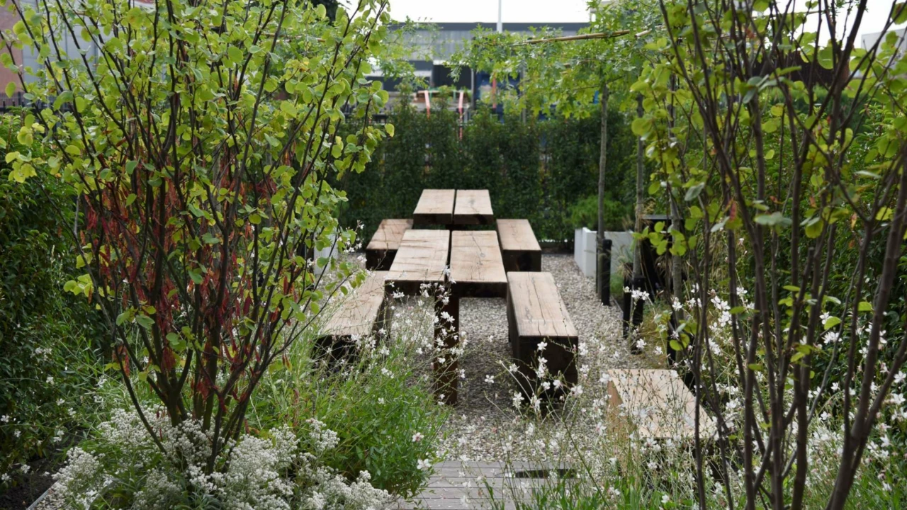 Picknickset Pure Eco II voor de openbare ruimte 2
