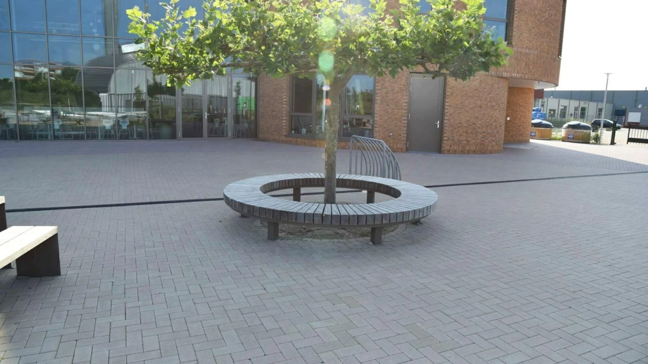 Lent Citadel College Quadrat enkelzits met rugleuning Quadrat picknickset Plane boombank Constructo 50 1 1619x1080