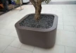 Oosterhout Winkelcentrum Arendshof Plane Solid Solid Plantenbak 9