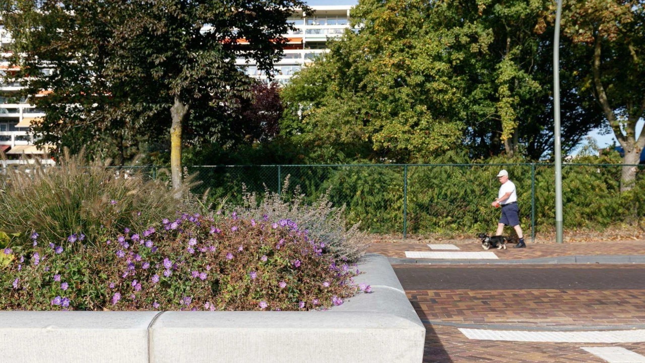 Grijsen Projekt Donderberg Roermond