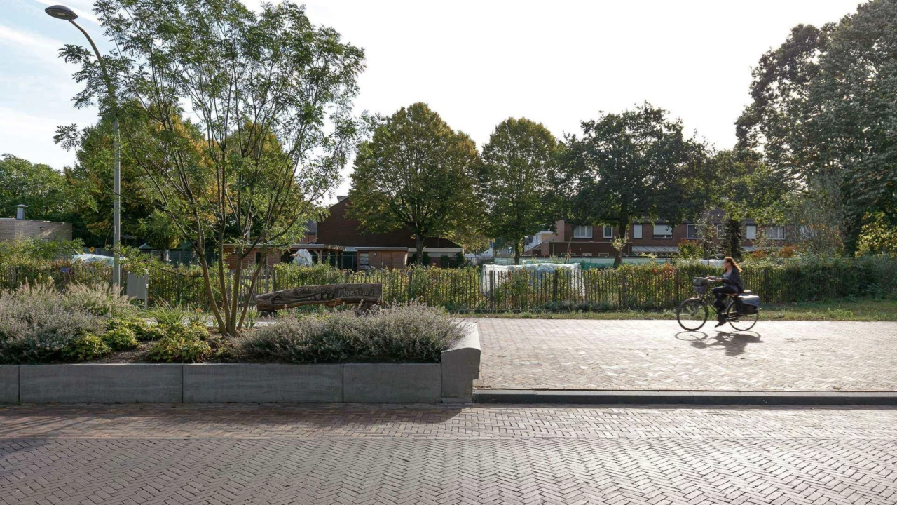Grijsen Projekt Donderberg Roermond