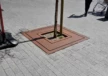 Baumrost Square Sterrenhof Spijkenesse