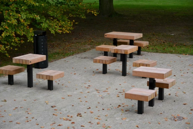 Tilburg University Plane Picknickset Duo Swing 7