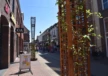 Groenstaanders Winterswijk Centrum 2
